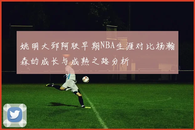 姚明大郅阿联早期NBA生涯对比杨瀚森的成长与成熟之路分析