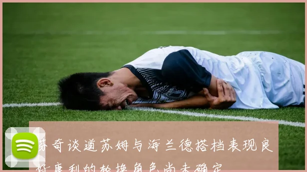 芬奇谈道苏姆与海兰德搭档表现良好康利的轮换角色尚未确定