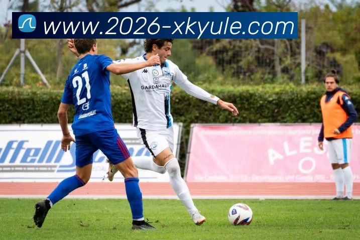 星空娱乐平台生态图